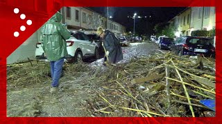 Alluvione a Prato distesa di tronchi per le strade ciò che resta dopo lesondazione [upl. by Dorothi]