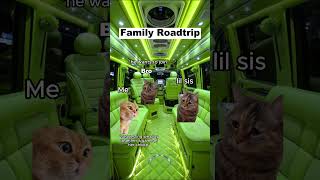 CAT MEMES 🐱Family Roadtrip P2 catmemes relatable shorts viralvideos [upl. by Edalb]