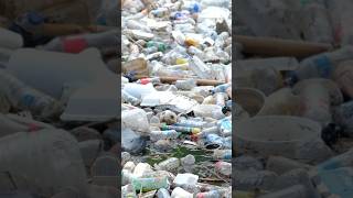 Plastic Crisis in Trinidad amp Tobago How Pollution Threatens Water and Food Chains  United Nations [upl. by Harriet]