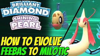 How to evolve FEEBAS to MILOTIC in Pokemon Brilliant Diamond and Shining Pearl [upl. by Mcconnell]