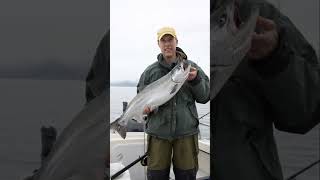 Alaskas Fishing Adventures Salmon amp Halibut [upl. by Naujik]