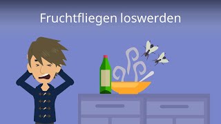 Fruchtfliegen loswerden  schnell und einfach  Studyflix [upl. by Assennev]