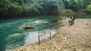 How to Make Simple Fish Trap From Bamboo The SECRET to Catching Big Fish [upl. by Henricks]