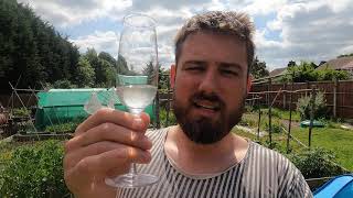 Elderflower Sparkling Wine Recipe [upl. by Aehtorod]