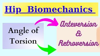 Anteversion ampRetroversion angle of torsion in detail [upl. by Evanthe]