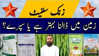 Significance of Soil Application of Zinc Sulphate in Wheat  Bilal Kanju Official [upl. by Artsa]