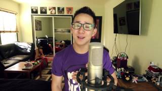 Made In The USA  Demi Lovato Jason Chen Cover [upl. by Mina]