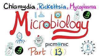 Microbiology  Picmonic  Chlamydia Rickettsia and Mycoplasma Atypical bacteria  Part 13 [upl. by Atikehs]