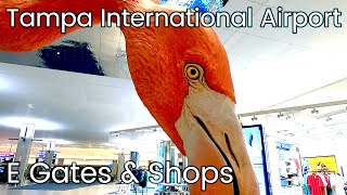 🛍️🛫🛬E Gates amp Shops  Tampa International Airport Tampa Bay FL [upl. by Nbi]