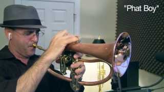 Andy Taylor quotPhat Boyquot flugelhorn vs Andy Taylor quotStandardquot model  Wichita Lineman Cover [upl. by Lybis]