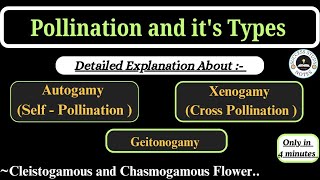 Pollination and its Types Class 12  Autogamy Geitonogamy Xenogamy Class 12 pollination [upl. by Nitsud590]