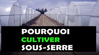 5 Bonnes raisons pour lesquelles il faut cultiver sous une serre agricole AGRICULTURE [upl. by Corry72]