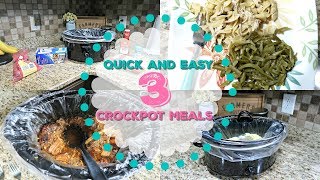 Quick and Easy Crockpot MealsRecipes [upl. by Oribel]