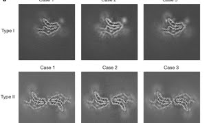 CryoEM Helical Reconstruction in Relion  Corticobasal degeneration  Empiar10340 Part1 [upl. by Ecinehs]