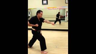 Traditional ChitoRyu kata Shi Ho Hai four square [upl. by Sansbury]