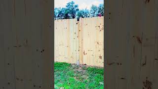 6ft dog ear fence  please subscribe to channel to support  thanksforwatching [upl. by Rebmak]