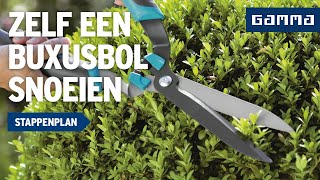 Buxusbol snoeien  Tuinvideos  GAMMA België [upl. by Dustman]