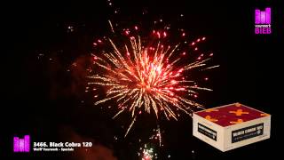 Black Cobra 120  Wolff Vuurwerk  Specials  vuurwerkbiebnl [upl. by Einberger]