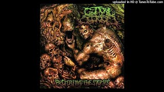 Guttural Secrete  Recreating the Stumps Full Album [upl. by Henson]