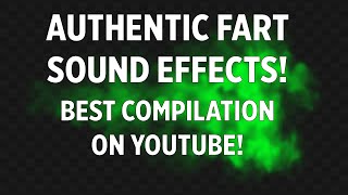 Fart sound effects compilation  authentic human farts [upl. by Nisen]