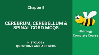 Cerebrum Cerebellum amp Spinal Cord MCQ Questions Answers  Spinal Cord Class 912 MCQs Ch 5 Notes PDF [upl. by Abelard]