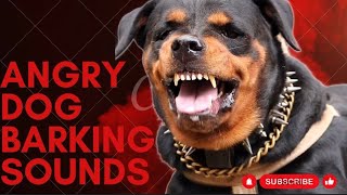 Epic Dog Barking Compilation See How Your Dogs REACTS and Cant Resist [upl. by Huoh93]