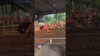 Conyers Georgia 2024 Bill Pickett Invitational Rodeo [upl. by Brechtel642]