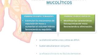 Tema 33 Mucolíticos y Expectorantes [upl. by Shue962]