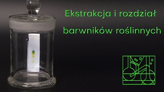 Ekstrakcja i rozdział barwników roślinnych [upl. by Alcot]