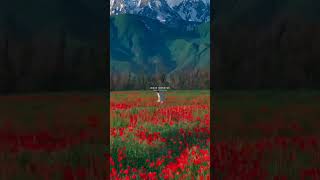 Ho Gaya Begana Main Hosh Se Pehli Dafa  WhatsApp Status  Lofi Slowed Song Status  ytshorts song [upl. by Llirpa]