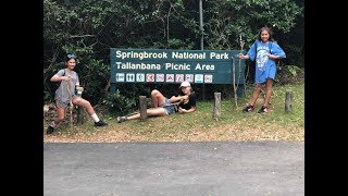 Springbrook Mountain Gold Coast Australia  THE TWIN FALLS 2019 [upl. by Yrallih]