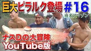 【16】ナスDの大冒険YouTube版！衝撃！南米アマゾン巨大ピラルク登場 編Crazy Director s impact Reveals a Gigantic Pirarucuquot [upl. by Anear]