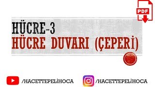 21 HÜCRE3 HÜCRE DUVARIÇEPERİ  TYT  9Sınıf  hacettepelihoca [upl. by Giovanna]