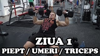 Piept  Umeri  Triceps  Ziua 1  Program incepatori [upl. by Zelazny301]