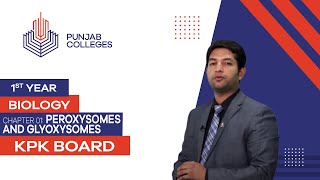 PGC LecturesInter Part 1KPK BoardBiologyChapter 1  Peroxisomes and Glyoxysomes [upl. by Bela]