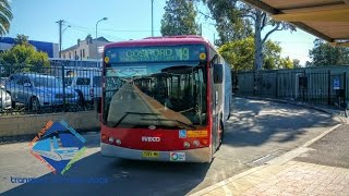 Transport for NSW Vlog No742 Wyong Buses [upl. by Melvin]