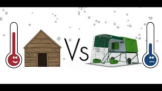 TEST FROID  Spécial Poulailler en hiver Bois Vs Plastique [upl. by Sucul911]