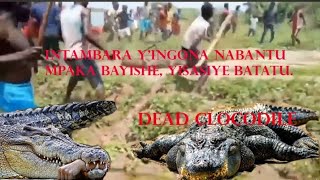 Yishe batatu birangira nayo abaturage bayiteze umushibuka barayica ingona [upl. by Saleem912]