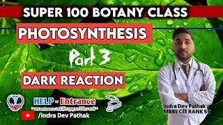 Photosynthesis part 3  super 100  complete botany for CEE  New batch  online class  Part 4 [upl. by Dole]