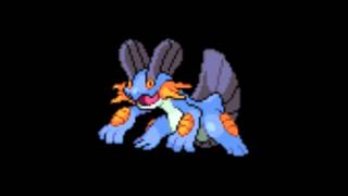 Pokemon Cries  260 Swampert [upl. by Ahsya]