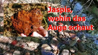 Mineralien in den Bächen des Westerzgebirge Teil 5  Jaspis überall wo man hinschaut [upl. by Sharos]