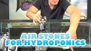 TEST Air Stones For Hydroponics DWC Deep Water Culture Indoor Garden Oxygen Diffusion [upl. by Suiravaj]