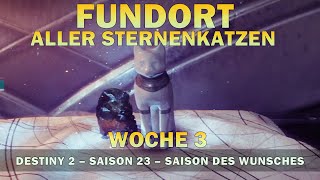 Destiny 2  Fundort aller Sternenkatzen von Woche 3  Guide und Standort der Sternenkatzen [upl. by Huda]