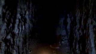 Exploring Maya Tunnel in Tikal [upl. by Nnywg561]