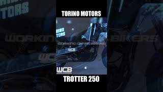 Torino Motors TROTTER 250 🇲🇽 chopper 250cc motos [upl. by Stutman]