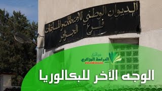 الوجه الآخر للبكالوريا  كيفية إعداد أسئلة الإمتحان [upl. by Eentirb595]