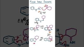 Fischer Indole Synthesis [upl. by Ainadi]