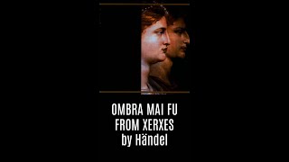 Ombra Mai Fu from Xerxes Largo by Händel violin lesson shorts [upl. by Nerb579]