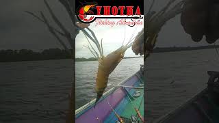 TARIKAN UDANG GALAH GA ADA OBAT udanggalah mancing yhothafishing [upl. by Millisent594]