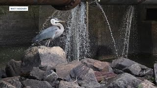 New timeline shows what Richmond new about James River sewage leak and when they knew it [upl. by Piero422]